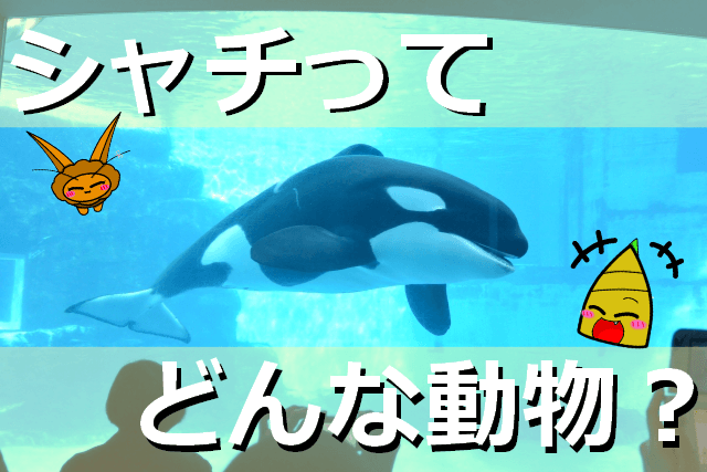 Thumbnail of post image 152